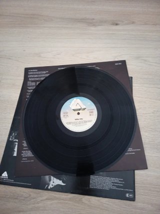2 LPs Willie Nile