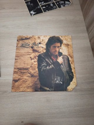 2 LPs Willie Nile