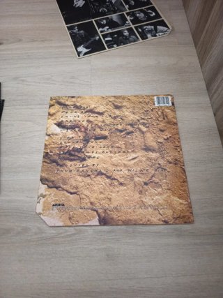 2 LPs Willie Nile