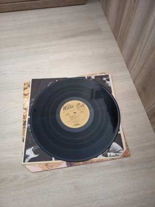 2 LPs Willie Nile
