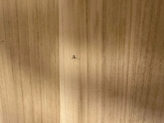 Cómoda Maisons du Monde madera y blanca