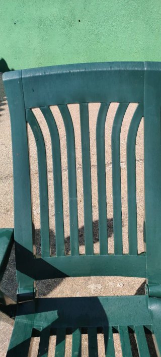 Tumbona plegable de resina verde con colchoneta.