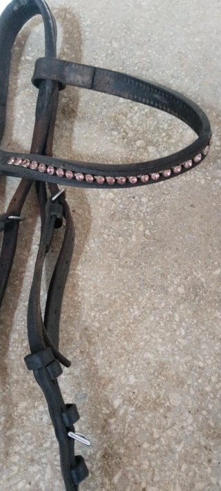Dos cabezadas de cuero para caballo