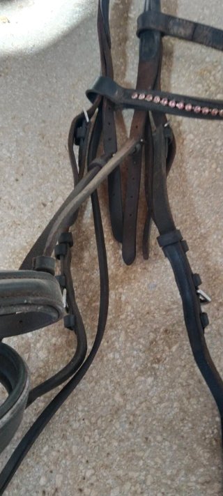 Dos cabezadas de cuero para caballo