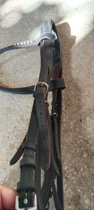 Dos cabezadas de cuero para caballo