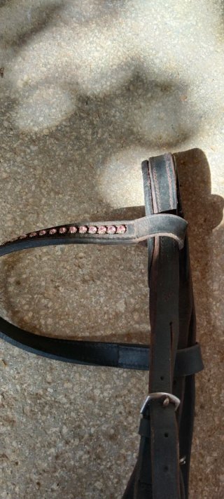 Dos cabezadas de cuero para caballo