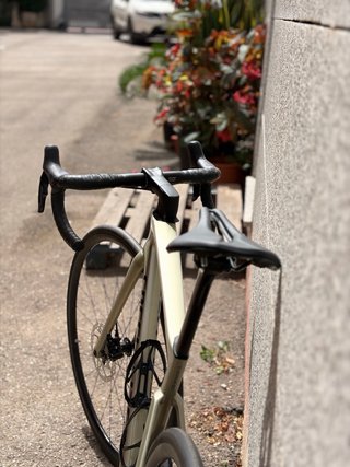 Specialized Tarmac SL7 Di2 talla 52