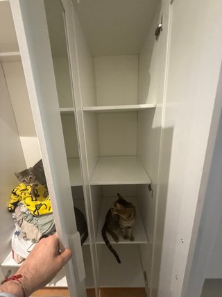 Armadio Brimnes Ikea Bianco