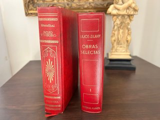 Lote de libros clásicos