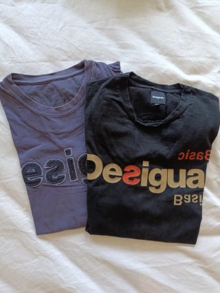 Lote 2 camisetas Desigual negras y moradas
