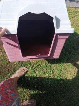 Caseta para perro de resina