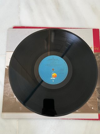 Vinilo U2 The Unforgettable Fire