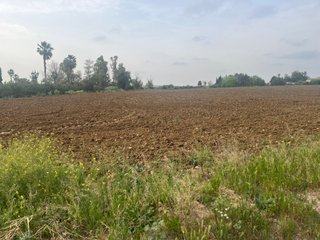 MAGNIFICA PARCELA DE REGADIO EN JEREZ