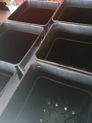 6 macetas negras de plástico