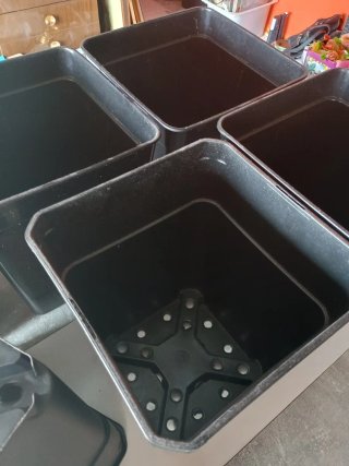 6 macetas negras de plástico