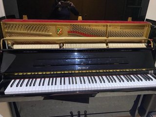 Piano Petrov sin usar