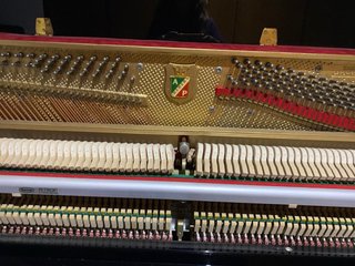 Piano Petrov sin usar