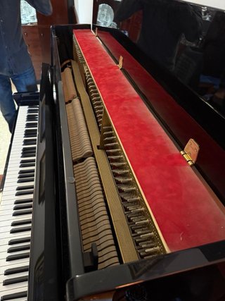 Piano Petrov sin usar