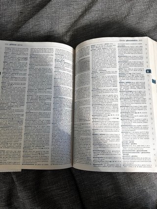 Lo Zingarelli [2015] vocabolario della lingua i...