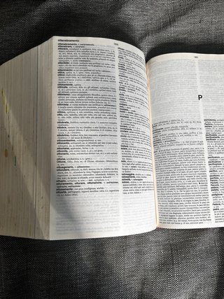 Vocabolario della lingua latina Latino - italia...