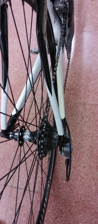 Bicicleta Carretera Specialized Roubaix