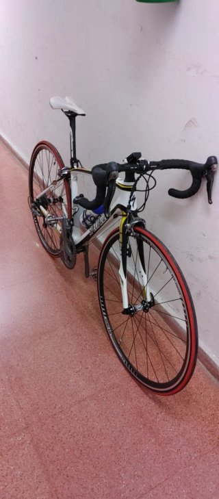 Bicicleta Carretera Specialized Roubaix