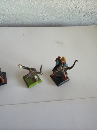 Warhammer Elfos Silvanos Metal