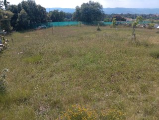 Terreno rustico