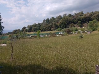 Terreno rustico