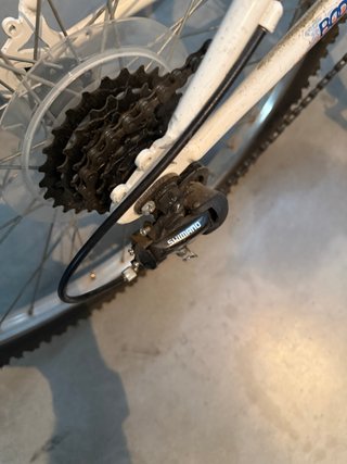Bicicleta Talla 24