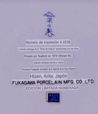 Colección 6 platos japoneses