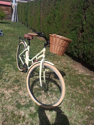 Bicicleta Esmaltina Trekking con Cesta