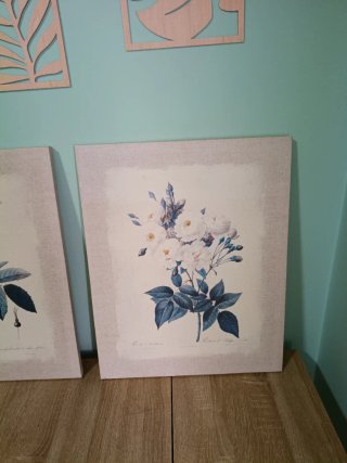 2 Lienzos Decorativos Rosas Blancas