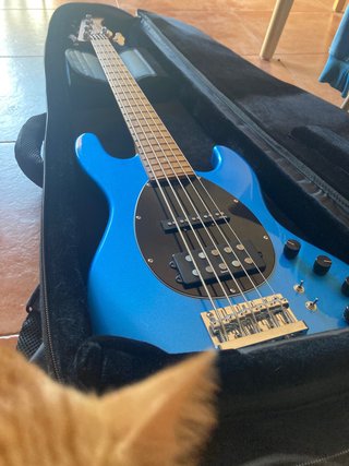 Sadowsky MJ5 Bajo Eléctrico