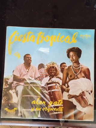 Vinilos venezuela