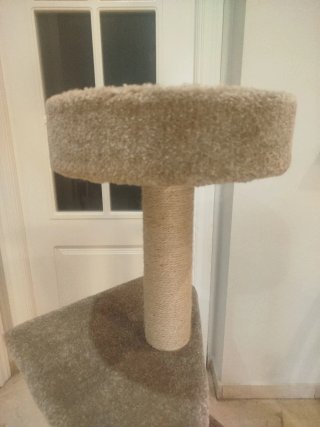 Torre rascador para gatos