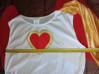 Disfraz Cupido Corazón Alas Rojas