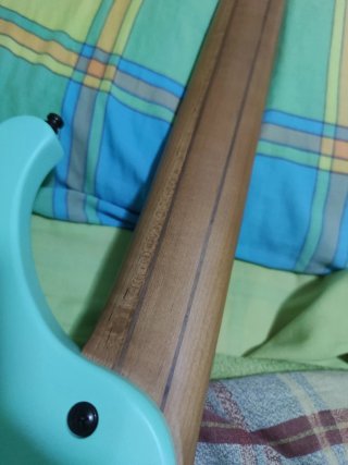 Bajo zurdo Ibanez EHB 1005