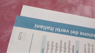 Dizionario di Francese
