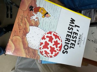 Comics  Tintin
