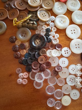 Lote de botones para ropa