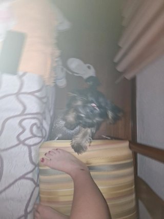 Cárdigan de lana peruana talla única