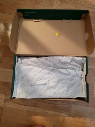 Zapatillas Lacoste Hombre Talla 42.  ORIGINALES.