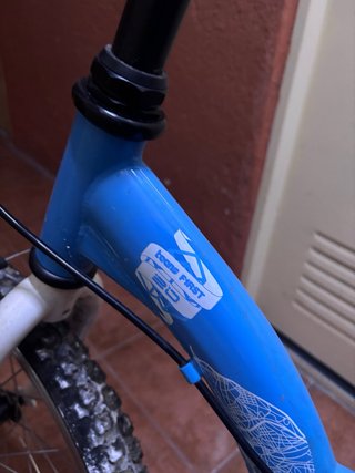 Bicicleta infantil B’Twin Teen First 20”
