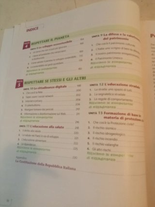 Chitarrini, R.; A.Tancredi" NOI, il futuro" Lattea