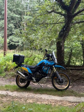 Yamaha Ténéré 700 Rally Akrapovic
