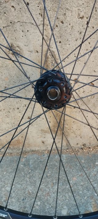 Rueda 29 Aluminio NO Boost (100x15)