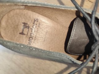 Zapatos Wonder como un verde oscuro