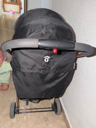 Carrito de paseo asalvo