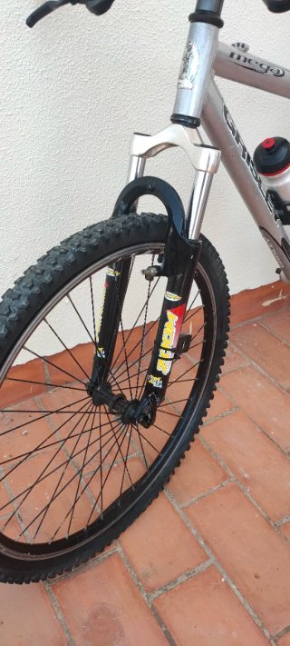 Lote Bicicleta